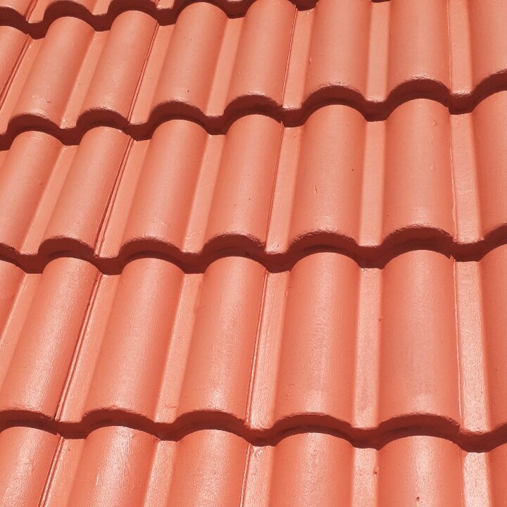 WhatsApp Image 2025-08-14 at 14.37.18 (3)